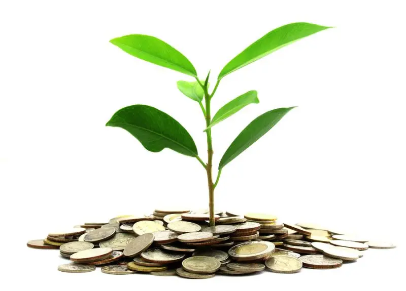 Инвестиции SKF в сохранение экологии | Свежие новости в Подольске